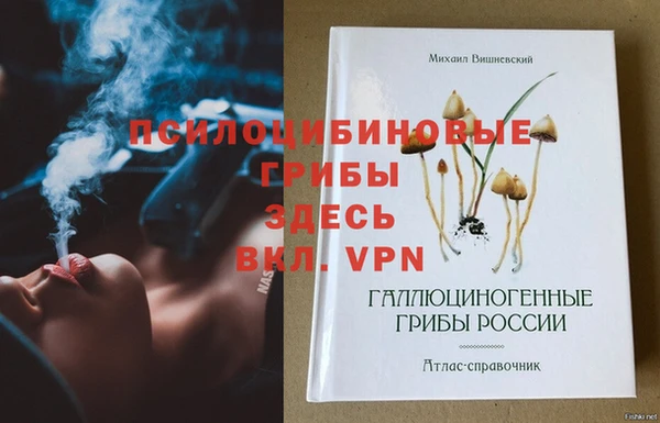 гидра Балахна