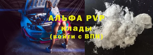 шишки Беломорск