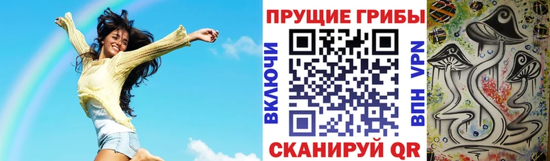 наркошоп  Салаир  Галлюциногенные грибы Cubensis 